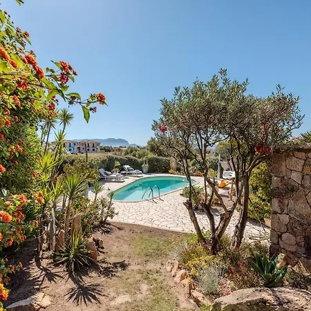 Garden - Shared Pool&designer Interiors
