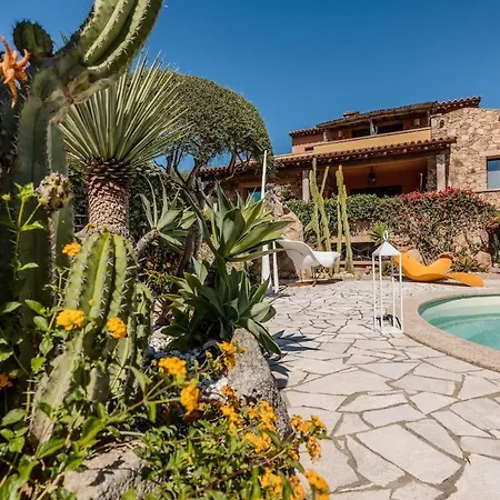 Garden - Shared Pool&designer Interiors Apartment *