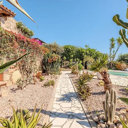 Garden - Shared Pool&designer Interiors
